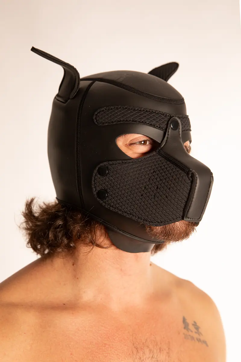 Maschera Puppy Dog Integrale