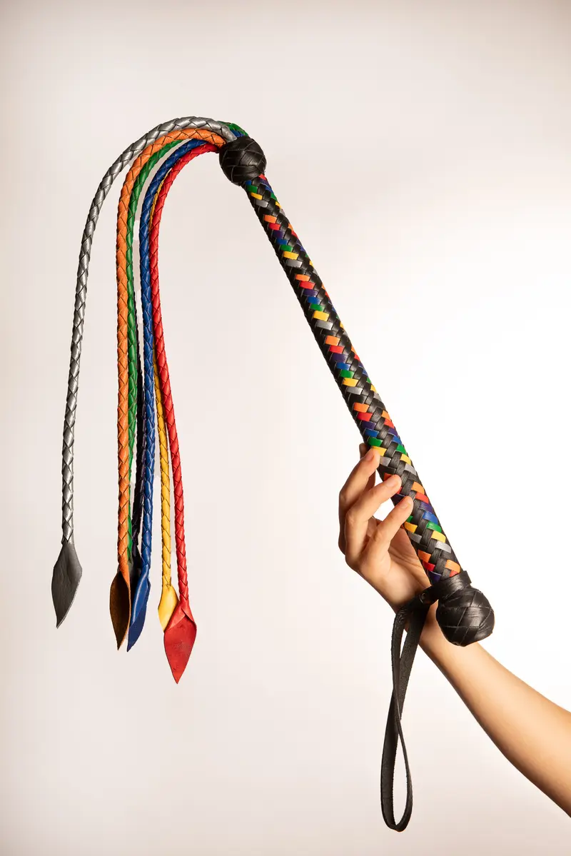 Rainbow Frusta con Frange in Pelle