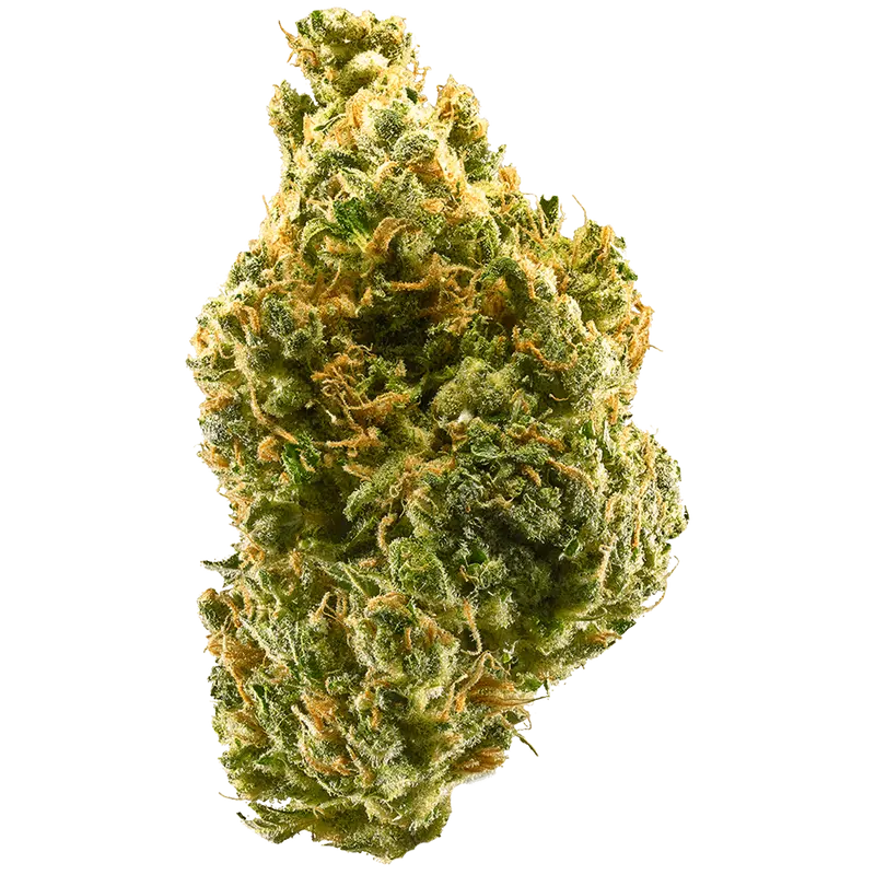 Tangie Indoor 2g - Aroma Mandarino & Zagara (CBD >24%)